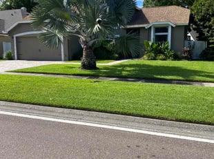 Jenelle D.'s Lawn Care service result