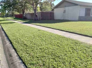 Robert M.'s Lawn Care service result