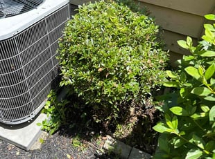 Bush Trimming by Chrishun Webber for Kerri T. in Marietta, GA