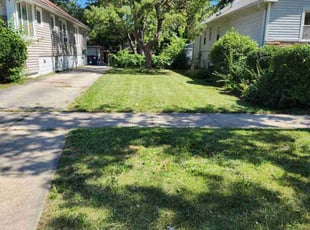 Sandra G.'s Lawn Service service result