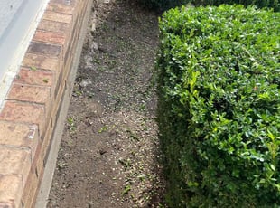 Weeding by Melvin Sanchez for Carley C. in The Colony, TX