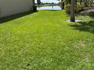 Randolph P.'s Lawn Mowing Service service result