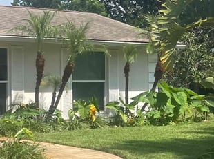 Clifton C.'s Bush Trimming service result