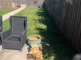 Shelly L.'s Grass Cutting service result