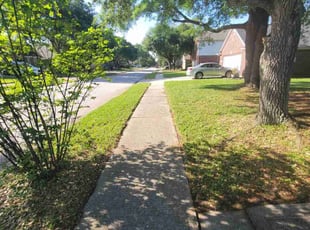 Susan H.'s Lawn Service service result