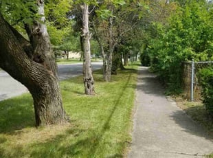 Trisha F.'s Lawn Service service result