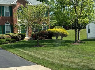 Leaf Removal by Mateo Brown for Hugh T. in Bowie, MD