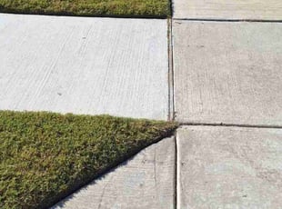 Tammy G.'s Yard Cutting service result