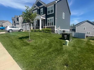 Frankie W.'s Lawn Maintenance service result
