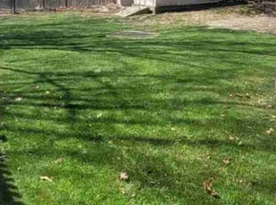 Denise E.'s Lawn Service service result