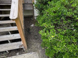 Weeding by Cesar Rodriguez for Felicia W. in Hampton, GA