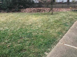 Weeding by Davon Lightfoot for Hope G. in Richmond, VA