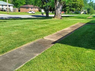 Carol A.'s Lawn Mowing service result