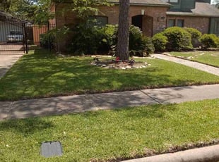 Michael S.'s Lawn Service service result