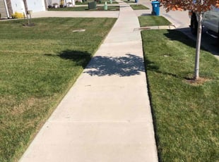 Amelio W.'s Lawn Mowing service result