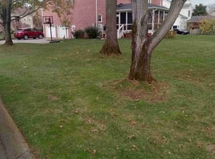 Leaf Removal by Robert Fitzgerald II for Jon C. in Nashville, TN