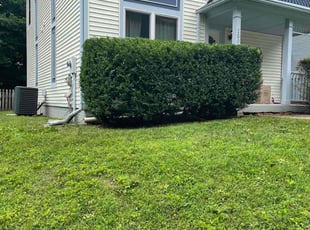Bush Trimming by Donald Tucker for Matthew P. in Montclair, VA