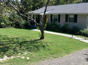 Benjamin S.'s Yard Cutting service result