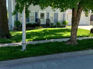 Misti E.'s Lawn Maintenance service result