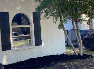 Cleanups by Shameem Mohmand for Talisa S. in Irving, TX