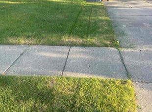 Michael G.'s Yard Cutting service result