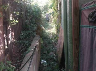 Bush Trimming by Joshua Walker for Ahad P. in Atlanta, GA