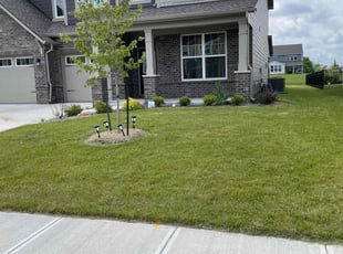 Jordan C.'s Grass Cutting service result