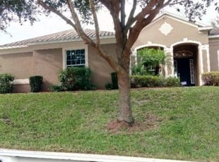 Bush Trimming by Terrence Hill for Anthony E. in Apopka, FL