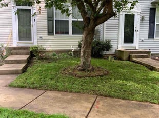 Karen E.'s Lawn Mowing service result