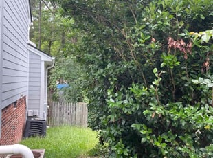 Bush Trimming by Gonzalo A Rodriguez for Beth S. in Durham, NC