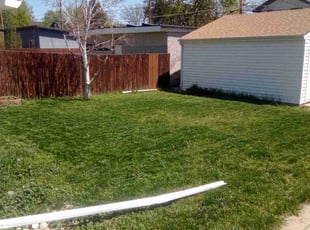 Cleanups by Tom Davis for Clare R. in Denver, CO