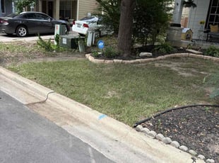 Leaf Removal by Christopher Aguilar for Nicole L. in Buda, TX