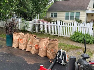 Cleanups by Angel P. for John H. in Falls Church, VA