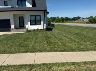 Christopher M.'s Yard Cutting service result