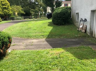 Bush Trimming by Edward Knight for Laura G. in Feasterville-Trevose, PA