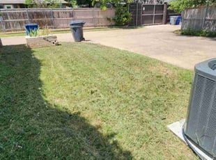 Cleanups by Macey Wheeler for Drew d. in Dallas, TX