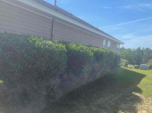 Bush Trimming by Ronald Wade for Wendell W. in Midway, FL