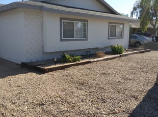 Bush Trimming by Toni Vaughn for Frank C. in Scottsdale, AZ