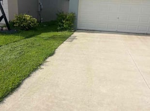 Bush Trimming by Jessica Springer for Yiling Z. in San Antonio, FL