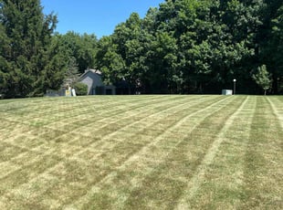 Derek T.'s Lawn Maintenance service result