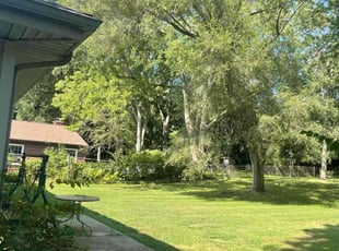 Jacob C.'s Lawn Maintenance service result