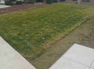 Juan H.'s Lawn Maintenance service result