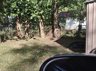 Cleanups by Brandy Dolis for Lynnea R. in Springfield, MO