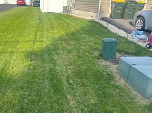 Tee D.'s Lawn Service service result