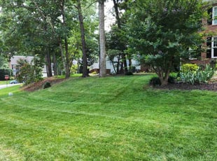 Chelsea D.'s Lawn Mowing service result