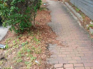 Leaf Removal by Joshua Walker for Kate D. in Atlanta, GA