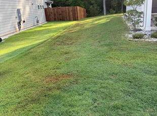 Aeration by Taren Brown for Sanjeev R. in Newnan, GA