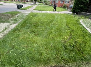 Cleanups by Kyle Yacko for Shawn S. in St. Clair Shores, MI