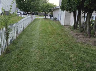 Gregory M.'s Lawn Mowing service result