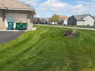 Loretta B.'s Grass Cutting service result